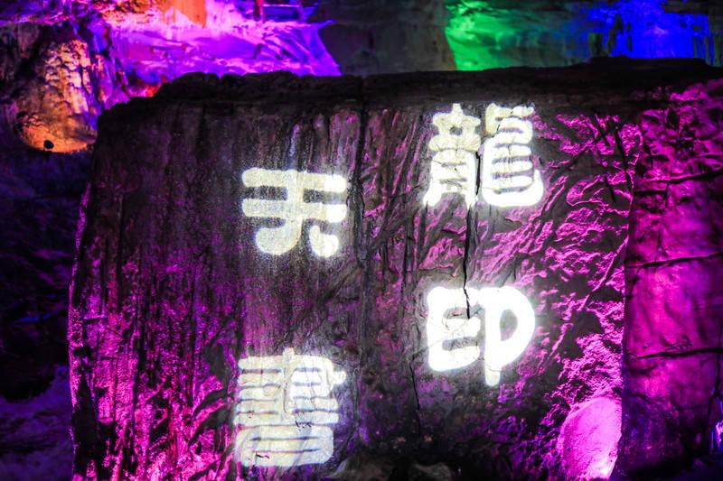 救援受困的鬃狼